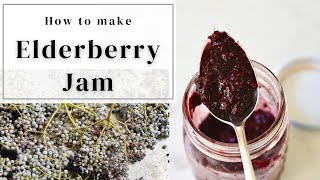 How to make Elderberry Jam [upl. by Pinkham]