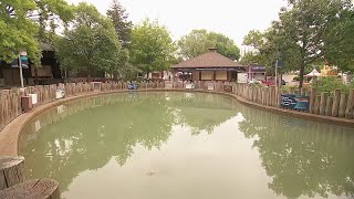 DNR stocking fish pond at Minnesota State Fair [upl. by Yenatirb153]