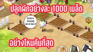 Morning moon village ปลูกผัก อย่างละ 1000 เมล็ด อย่างไหนได้คุ้มที่สุด [upl. by Ajtak]