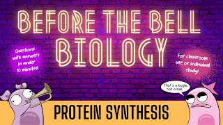 Protein Synthesis Before the Bell Biology [upl. by Akinahs]