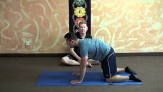 Yoga Exercises For Hip Dysplasia [upl. by Ainaled]