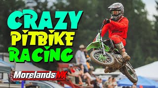 Craziest Pitbike Racing Ive Ever Done  2023 Morelands MX Series  Pitbike Round 2 [upl. by Burt928]