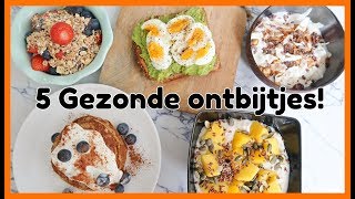 5 Recepten voor een Gezond Ontbijt  OPTIMAVITA [upl. by Aldin307]