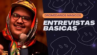 ENTREVISTAS BÁSICAS PRESENTA DROMEDARIOS MÁGICOS [upl. by Meredeth]