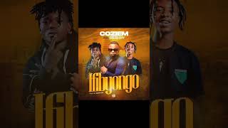 COZIEM FT CELEB CITY  Ifibyongo [upl. by Chester]