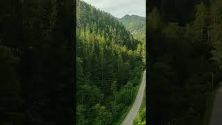 Foothills of the Alps From Upper Austria to Styria relax nature alps travel shorts [upl. by Suoinuj520]