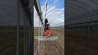 Protech oval tube polytunnels with climate control  rain water harvesting at NIAB East Malling [upl. by Hosbein]