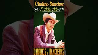 Chalino Sanchez  Mix 20 Grandes Exitos Corridos Pesados Para Pistear [upl. by Ubald570]