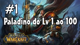 WoW  UPANDO UM CHAR  01 Criando o Paladino [upl. by Levesque]