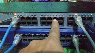 vlan setup  configuring vlans and trunking  dlink  netgear tutorial [upl. by Aitnahs]