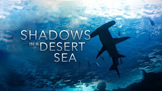 Shadows in a Desert Sea  HD [upl. by Crosse282]