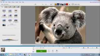 Best Tutorial on Picasa Official Professional Look [upl. by Nary]