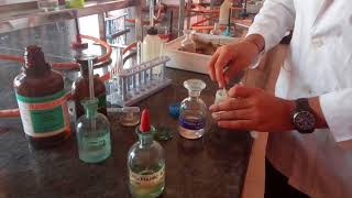 Test for Chloride ion in Lab by Seema Makhijani [upl. by Celeski548]