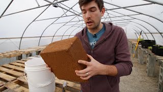 Peat Vs Coco Peat  How to Make A SIMPLE DIY Potting Mix [upl. by Awe351]