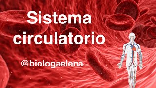 Sistema Circulatorio  Conceptos generales  Biología [upl. by Atalanti]