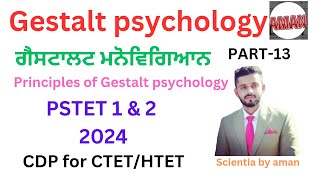 Gestalt psychologyਗੈਸਟਾਲਟ ਮਨੋਵਿਗਿਆਨprinciples of gestalt psychologyPART13PSTET 1 amp 2 2024CTET [upl. by Nylhsa585]