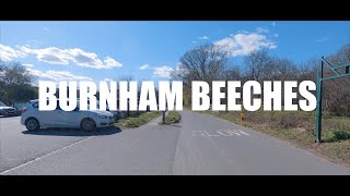 Burnham Beeches  Slough  Part 1  4K [upl. by Adohr]