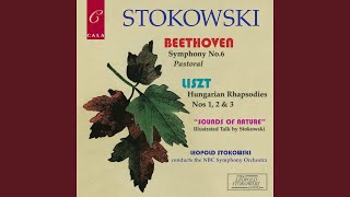 Three Hungarian Rhapsodies No 1 in F Minor [upl. by Bartholemy]