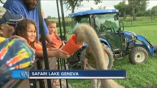 Safari Park opens in Lake Geneva [upl. by Lamhaj28]