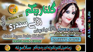 Gulnar Begum II Pashto Song And Tappay II Zare Sandari II Volume 101 II Zara Yadona [upl. by Leifer726]