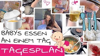 Das isst mein Baby an einem Tag  Baby Nahrung Tagesplan  Beikost Brei BLW und Stillen [upl. by Selle]