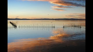 Places to see in  Valencia  Spain  Parque Natural de la Albufera [upl. by Etnauj]