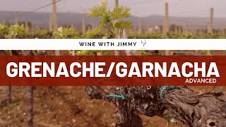 Grape Varieties GarnachaGrenacheCannonau Advanced Version for WSET L3 and 4 [upl. by Henricks]