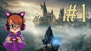 🔴1 Questo gioco è Hogwarts Legacy Blind Run PS5 [upl. by Odrareve674]