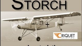 Storch Criquet Storch lightsport aircraft experimental amateurbuilt light sport aircraft [upl. by Ennairda510]