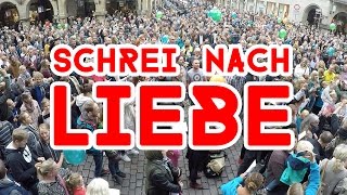 Schrei Nach Liebe  Münster Prinzipalmarkt  Flashmob Aktion Arschloch [upl. by Ycnuahc]