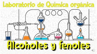 Práctica de LaboratorioAlcoholes y fenoles [upl. by Yatnahs]