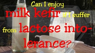 Can I enjoy homemade milk kefir made with kefir grains if I suffer from lactose intolerance [upl. by Amehsyt536]