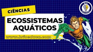 Ciências Ecossistemas aquáticos  Brio Educação [upl. by Nobie]