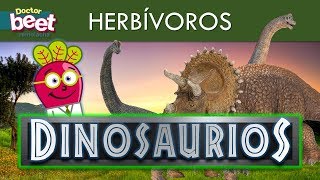 🦖 DINOSAURIOS HERBIVOROS PARA NIÑOS EN ESPAÑOL Preescolar [upl. by Emmuela]