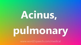 Acinus pulmonary  Medical Meaning [upl. by Nicholson388]