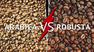 ARABICA vs ROBUSTA  Про відмінності між арабікою та робустою  Що таке арабіка та робуста [upl. by Ylla]