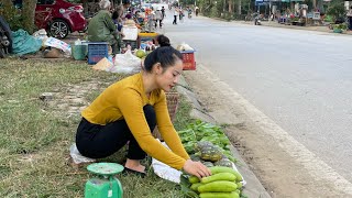 FULL VIDEO 60 Day Go to the market to sell melon squash vegetables eggplant amp take care of pets [upl. by Odradlig366]