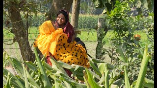 তারাকে কোলে নিলাম কেন  Village life with Shampa [upl. by Dayle795]