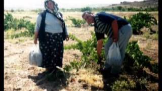 nevşehir hacı bektaş büyükkışla köyü [upl. by Nylacaj]