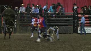 Kale Marks rides Grey Eyes for 86 points PBR [upl. by Marc900]