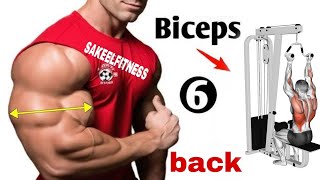 back and bicep workoutbiceps workoutbicep workoutback workoutback and biceps [upl. by Gabi704]