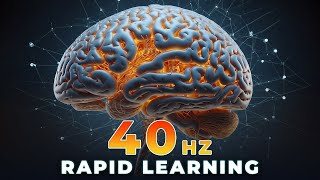 Rapid Learning 🧠 40Hz Gamma Brainwaves Binaural Beats Peak Concentration 🧘🏼‍♂️ Intense Focus [upl. by Michaeline]