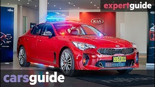 Kia Stinger police car is the “God of the road” [upl. by Paugh188]