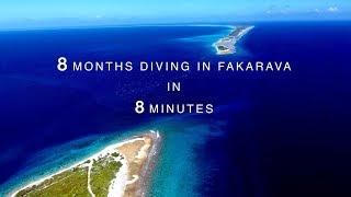 8 Months Diving In Fakarava in 8 Minutes French Polynesia [upl. by Negaem]