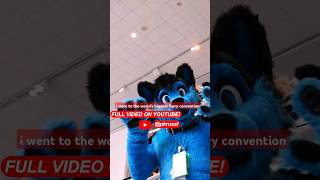 I Went To The Worlds Biggest Furry Convention [upl. by Bannister911]