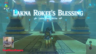 Lakna Rokee Shrine Walkthrough  The Legend of Zelda Breath of the Wild [upl. by Benedikta]