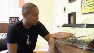 Animal Planet feat AntsCanada aka Mikey Bustos [upl. by Alper]