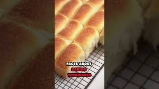 Baking with Fruits Tips for Moist Flavorful and Perfect Baked Goods [upl. by Mccoy]