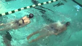 Potomac Marlins Stroke Workshop Butterfly Stroke Drills Video [upl. by Coretta142]