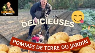 On plante des pommes de terre au mois de mars au potager 🥔🥔😊 [upl. by Analahs50]